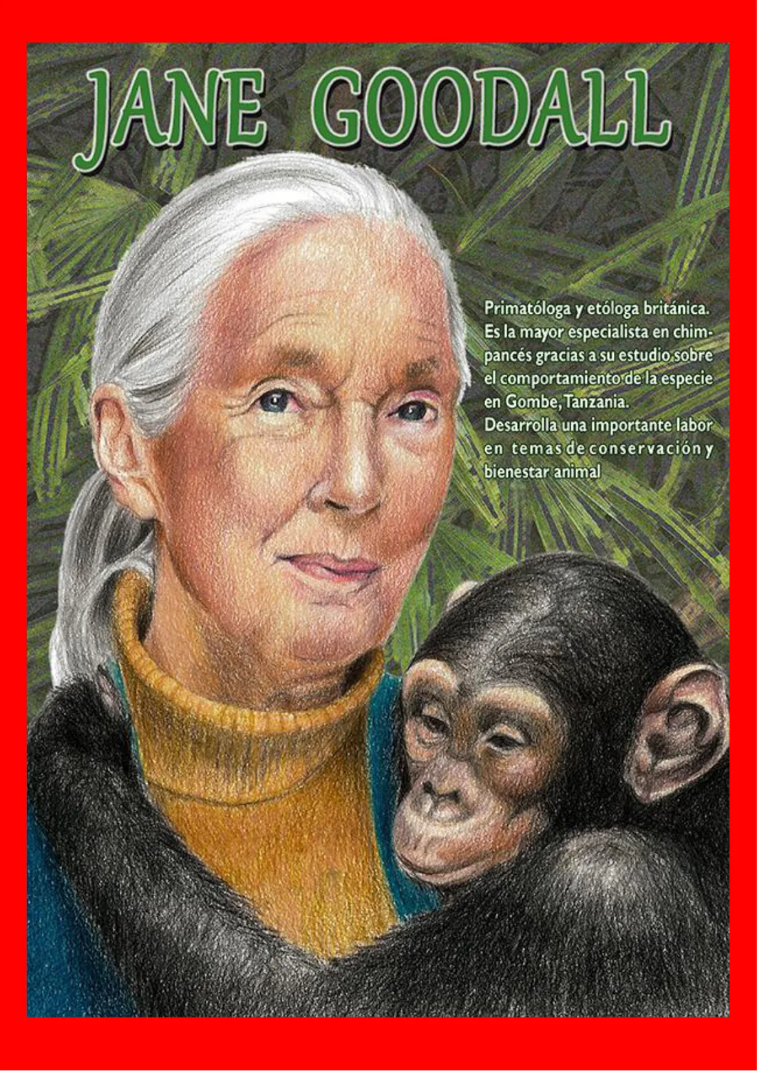 Cartel de Jane Goodall, primatóloga británica especialista en chimpancés, retratada con un chimpancé entre la vegetación de Gombe