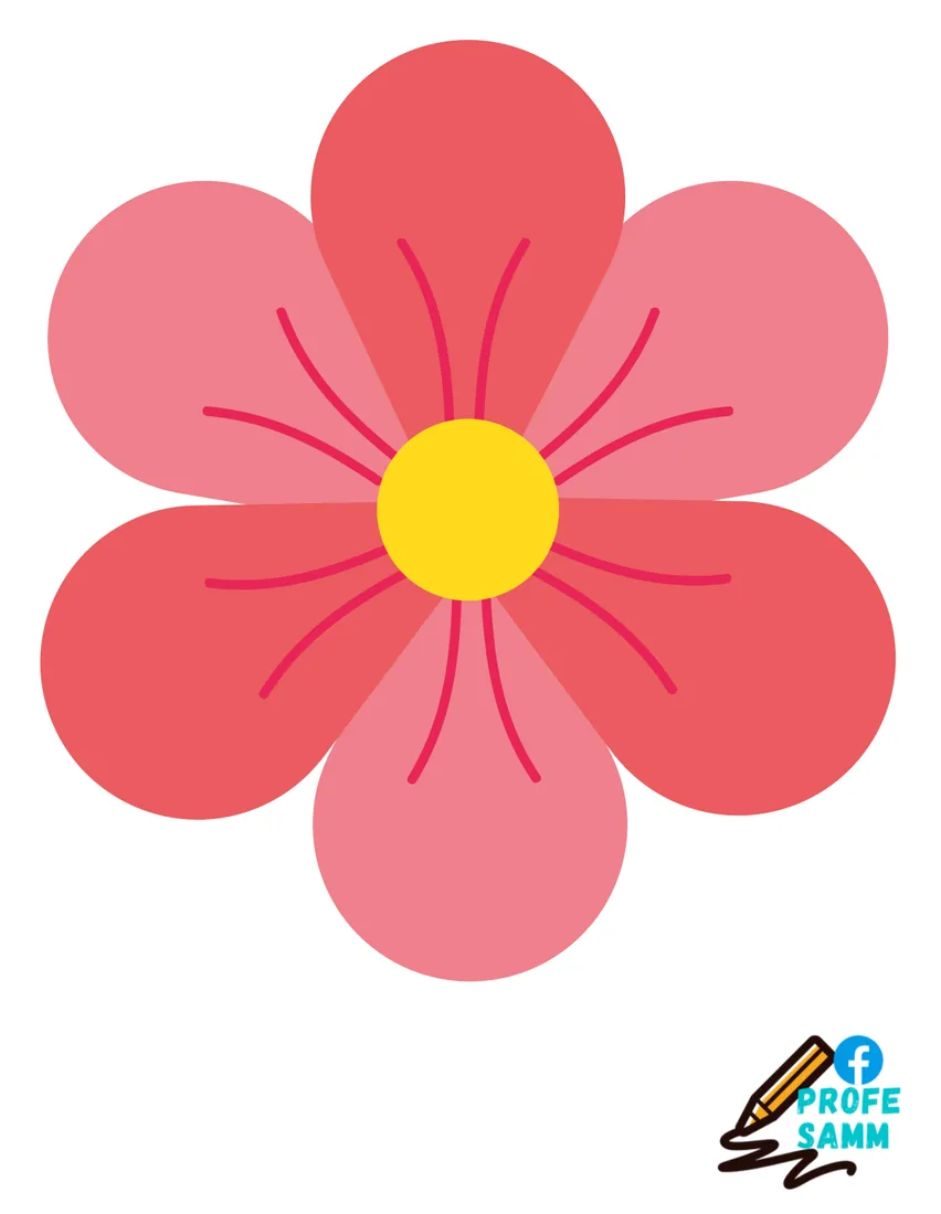 Flor rosa de cinco pétalos con vetas y centro amarillo