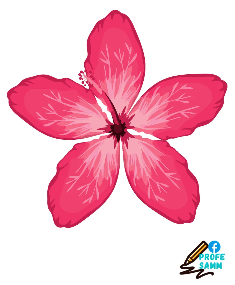 Flor rosa fuerte parecida al hibisco para decorar el aula