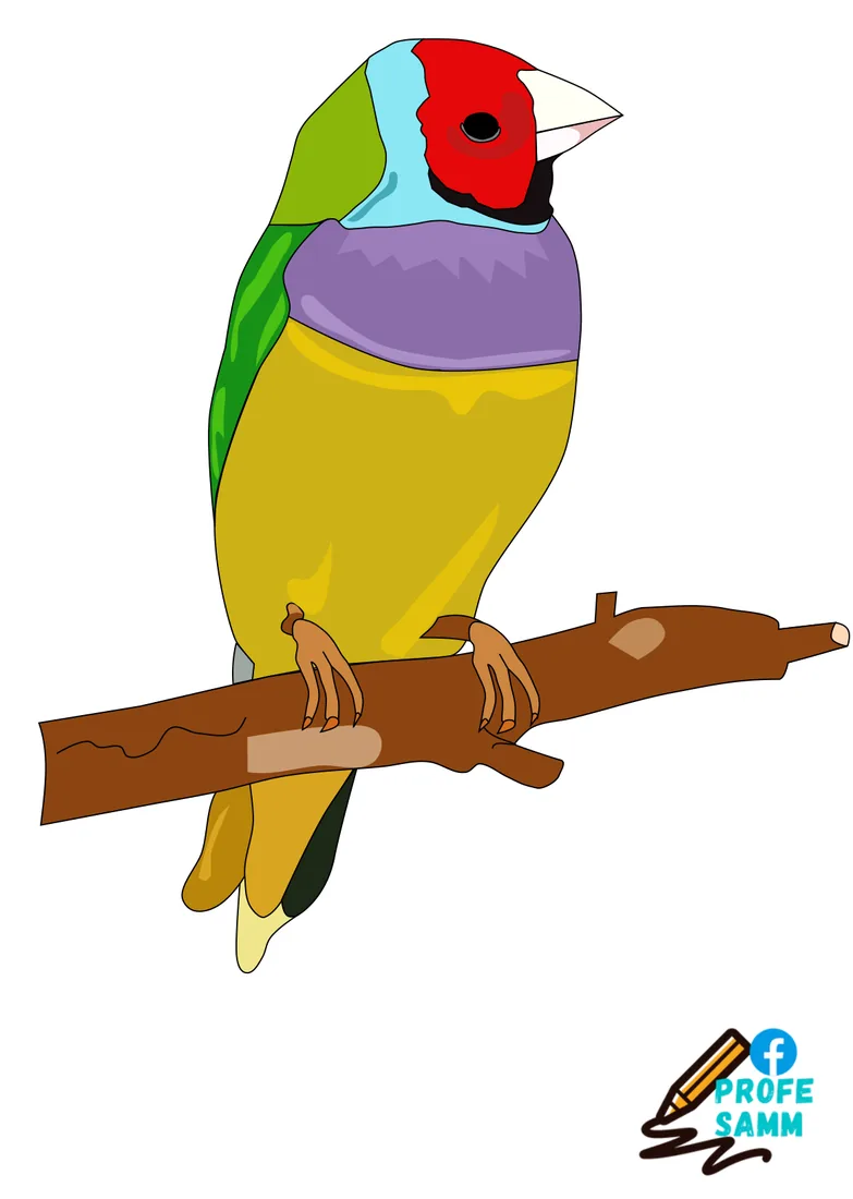 Pájaro de cara roja y pecho morado sobre una rama