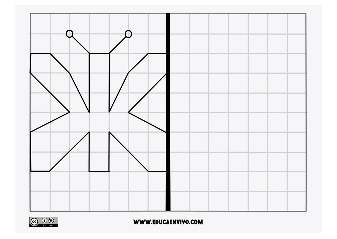 Dibujo en cuadrícula de una mariposa de alas simétricas para reproducir