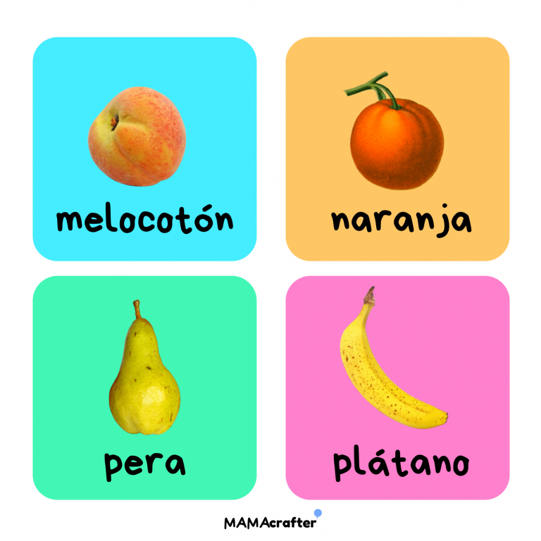 Vocabulario en imágenes