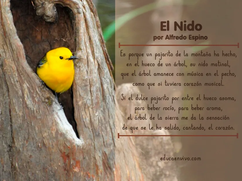 Poema sobre la naturaleza corto - El Nido, del autor Alfredo Espino